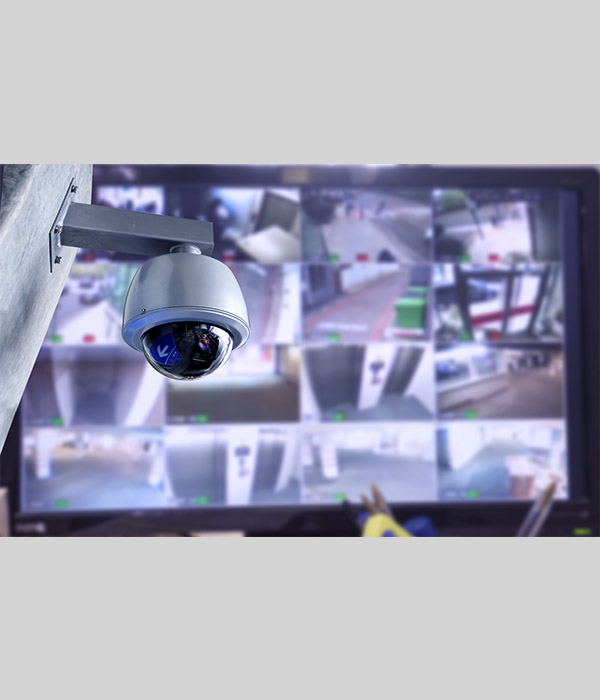Surveillance Camera and Monitor Screen